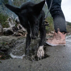 XTRATUF Ladies Waterproof Pink Cream Deck Boots XWAL-400 -Western Belle Deals XWAL400 9 EXTRALARGE