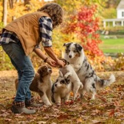 Muck Boot Company Muck Ladies Muckster II Mid Walnut Plaid Waterproof Boots WM2-9PLD -Western Belle Deals wm2 9PLD 2